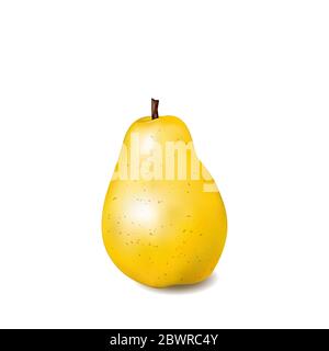 Frutta una pera matura e realistica. eps vettoriale 10 Illustrazione Vettoriale