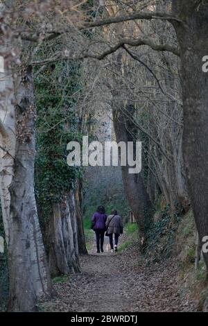 Due donne viste da dietro camminano lungo un sentiero di campagna attraverso gli alberi Foto Stock