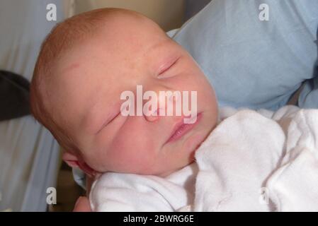 Bel neonato, di circa un giorno. MODELLO RILASCIATO Foto Stock