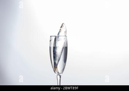 La sardina è un pesce che si trova facilmente nei pescivendoli, è pescato di solito nel Mar Mediterraneo ed è comune nella dieta mediterranea, sano Foto Stock