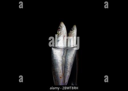 La sardina è un pesce che si trova facilmente nei pescivendoli, è pescato di solito nel Mar Mediterraneo ed è comune nella dieta mediterranea, sano Foto Stock