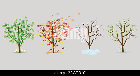 Insieme vettoriale di quattro stagioni alberi. Design piatto Illustrazione Vettoriale