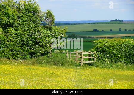 Porta in un prato a Wallington Foto Stock