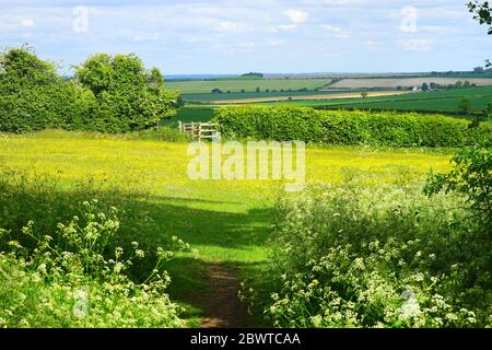 Porta in un prato a Wallington Foto Stock