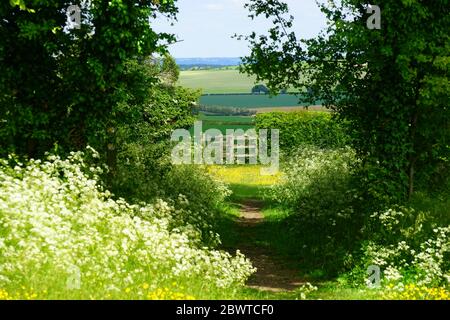 Porta in un prato a Wallington Foto Stock