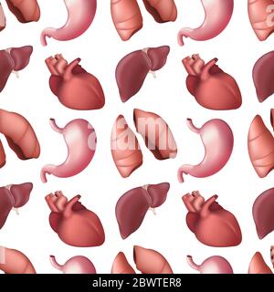 Schema senza giunture di organi umani interni. Illustrazione vettoriale di fegato, polmoni, cuore e stomaco isolati su sfondo bianco. Ideale per la stampa su tex Illustrazione Vettoriale