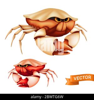 Granchio rosso tropicale realistico con grandi artigli e divertenti occhi cartoni animati. Illustrazione vettoriale di carino pesce marino isolato su sfondo bianco Illustrazione Vettoriale