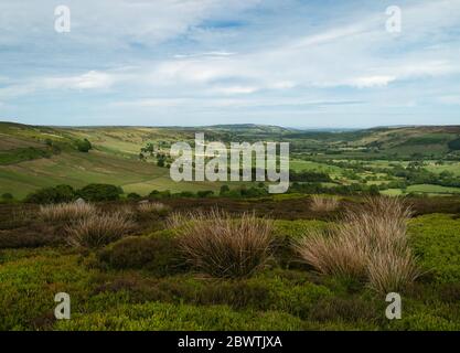 North York Moors con prominenti erpazioni, alberi, campi, erica e erbe sotto il cielo blu e nuvoloso in primavera a Glaisdale, Yorkshire, Regno Unito. Foto Stock