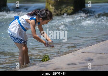 Feng Huang, Cina - Agosto 2019 : cute piccola ragazza cinese che raccoglie piante verdi in acqua sulla riva del fiume Tuojiang Tuo Jiang in antico fiume Foto Stock