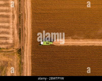 Vista aerea della mietitrebbia su un campo di soia Foto Stock