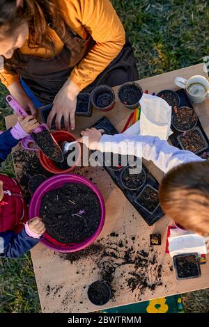 Madre con due bambini che fanno giardinaggio Foto Stock