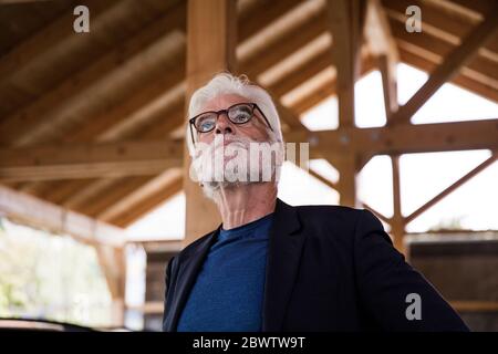 Ritratto di uomo anziano con i capelli bianchi che guardano in su Foto Stock