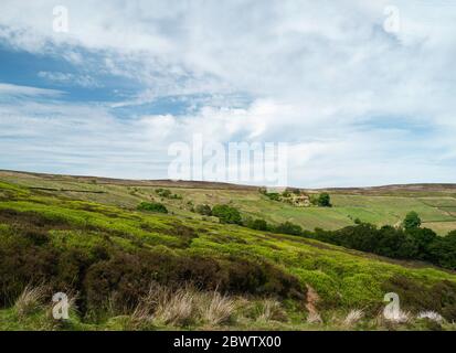 North York Moors con prominenti erpazioni, alberi, campi, erica e erbe sotto il cielo blu e nuvoloso in primavera a Glaisdale, Yorkshire, Regno Unito. Foto Stock