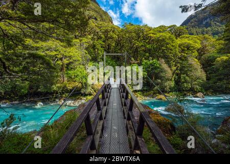 New Zealand, Southland, te Anau, ponte sul fiume Hollyford che scorre nel Parco Nazionale di Fiordland Foto Stock