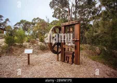 Montreal Goldfield a Wallaga Lake Australia Foto Stock