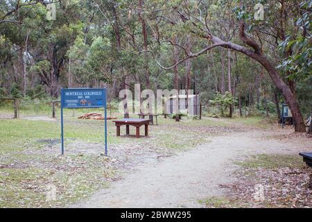 Montreal Goldfield a Wallaga Lake Australia Foto Stock