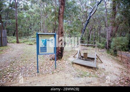 Montreal Goldfield a Wallaga Lake Australia Foto Stock