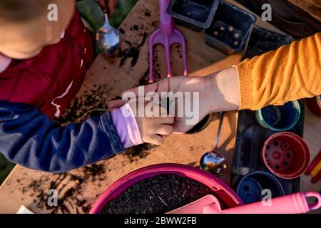 Primo piano di madre con giardinaggio figlia Foto Stock