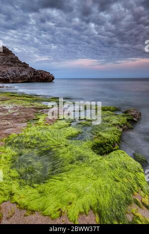 Italia Liguria Varigotti - piccola baia lungo il Malpasso Foto Stock