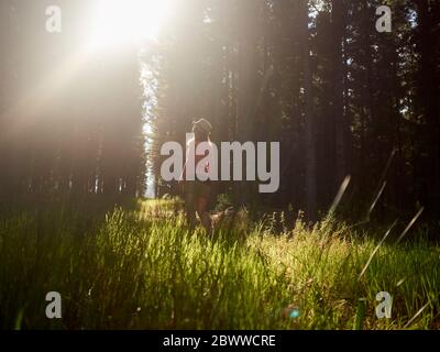 Donna su una foresta glade in retroilluminazione, Swellendam, Sudafrica Foto Stock