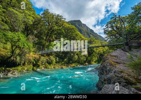 New Zealand, Southland, te Anau, ponte sul fiume Hollyford che scorre nel Parco Nazionale di Fiordland Foto Stock