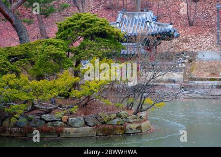 Piscina in temperatura gelida al Giardino Segreto all'interno del Palazzo Antico Changdeokgung Seoul, Corea del Sud in inverno. Foto Stock