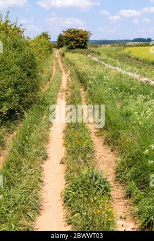 Ryknild Street o Icknield Street (localmente Condicote Lane) una strada romana appena a sud del villaggio di Cotswold di Condicote, Gloucestershire UK Foto Stock