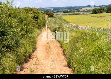 Ryknild Street o Icknield Street (localmente Condicote Lane) una strada romana appena a sud del villaggio di Cotswold di Condicote, Gloucestershire UK Foto Stock