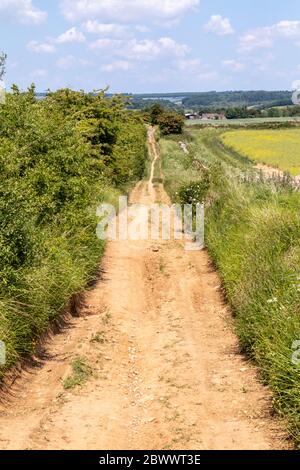 Ryknild Street o Icknield Street (localmente Condicote Lane) una strada romana appena a sud del villaggio di Cotswold di Condicote, Gloucestershire UK Foto Stock