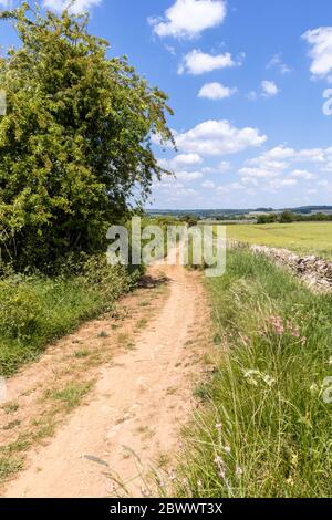 Ryknild Street o Icknield Street (localmente Condicote Lane) una strada romana appena a sud del villaggio di Cotswold di Condicote, Gloucestershire UK Foto Stock