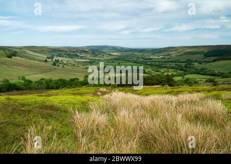 North York Moors con prominenti erpazioni, alberi, campi, erica e erbe sotto il cielo blu e nuvoloso in primavera a Glaisdale, Yorkshire, Regno Unito. Foto Stock