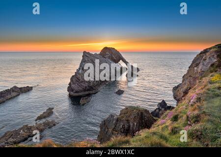 ARCO FIODLE ROCK PORTKNOCKIE MORAY COAST SCOZIA ALBA ALL'INIZIO DELL'ESTATE CON IL MARE ROSA FIORIRE ARMERIA MARITIMA FIORI SULLA SCOGLIERA Foto Stock