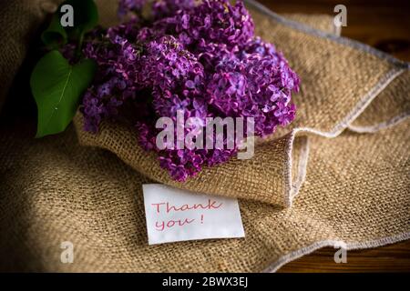 bouquet di bel lilla viola primavera in burlap Foto Stock