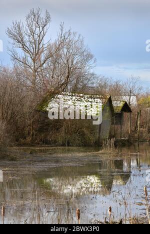 Finn Slough riflessioni Richmond BC verticale. Old Sheds a Finn Slough sulle rive del fiume Fraser vicino Steveston a Richmond, British Columbia, Foto Stock