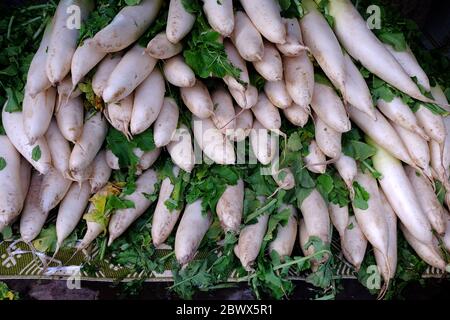 Pila di Ravish Daikon Bianco nel mercato Giapponese. Foto Stock