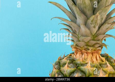 Primo piano di ananas intero su sfondo blu Foto Stock