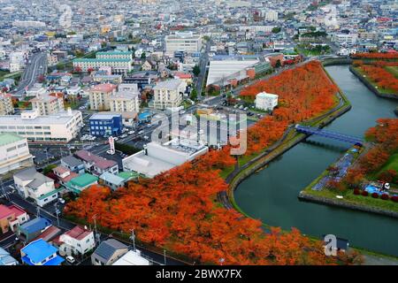 HAKODATE, GIAPPONE - 14 NOVEMBRE 2019: Veduta dall'alto del Forte di Goryokaku in autunno, dove è una famosa attrazione turistica a Hokkaido, Giappone. Foto Stock