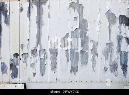 Pittura di Peeling bianca su sfondo porta di legno. Foto Stock