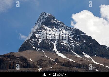 Monte Robson dal Berg Lake Trail Foto Stock