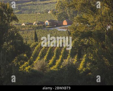 Camere in botte di vino in un hotel di lusso in un ambiente idilliaco e romantico, tra i vigneti della Valle di Douro nel Portogallo settentrionale Foto Stock