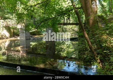 una vista ravvicinata dei pilastri di un piccolo ponte su un piccolo fiume che scorre in una foresta pubblica Foto Stock