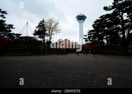 HAKODATE, GIAPPONE - 14 NOVEMBRE 2019: Torre Goryokaku nella stagione invernale dove è il punto di riferimento di attrazione turistica di Hakodate, Giappone Hokkaido. Foto Stock