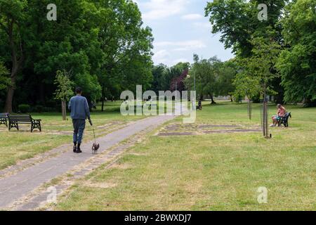 Un uomo che cammina il suo cane e altre persone godendo di una giornata calda e soleggiata all'aperto in un parco. Foto Stock