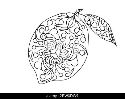 Un limone con una foglia con un modello vegetale in stile doodle su una pagina di colorazione sfondo bianco Illustrazione Vettoriale