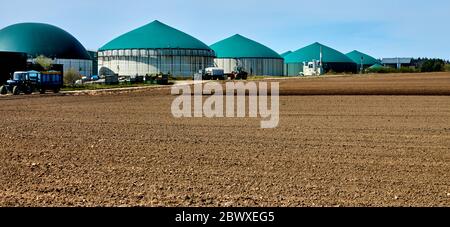 Campo di appassimento marrone di fronte ad un grande impianto per la produzione di energia da biogas prodotto in fermentatori verdi per digestione. Foto Stock