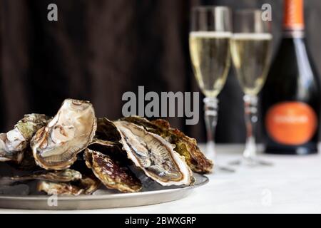 Piatto di conchiglie di ostriche fresche aperte su ghiaccio, due bicchieri di champagne e bottiglia su un tavolo bianco. Messa a fuoco selettiva Foto Stock