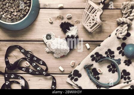 Accessori per animali domestici: Colletto, guinzaglio, museruola, ciotola, giocattoli, tappetino su sfondo di legno in stile vintage. Disposizione piatta Foto Stock