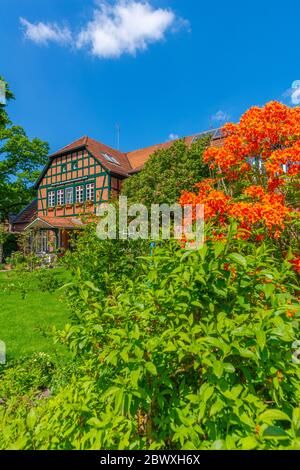 Fischerhude, Ottersberg, Landkreis Verden, Niedersachsen, Germania Foto Stock