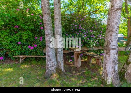 Fischerhude, Ottersberg, Landkreis Verden, Niedersachsen, Germania Foto Stock