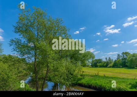 Fischerhude, Ottersberg, Landkreis Verden, Niedersachsen, Germania Foto Stock